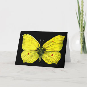 Zitronenfalter Card