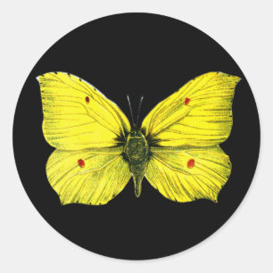Zitronenfalter Classic Round Sticker
