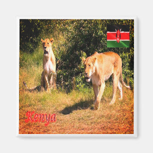 zKE005 KENYA, Lions, Africa, Fridge Magnet