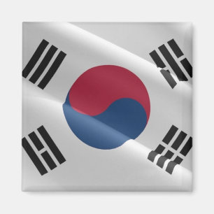zKR002 South Korean waving FLAG South Korea Fridge Magnet