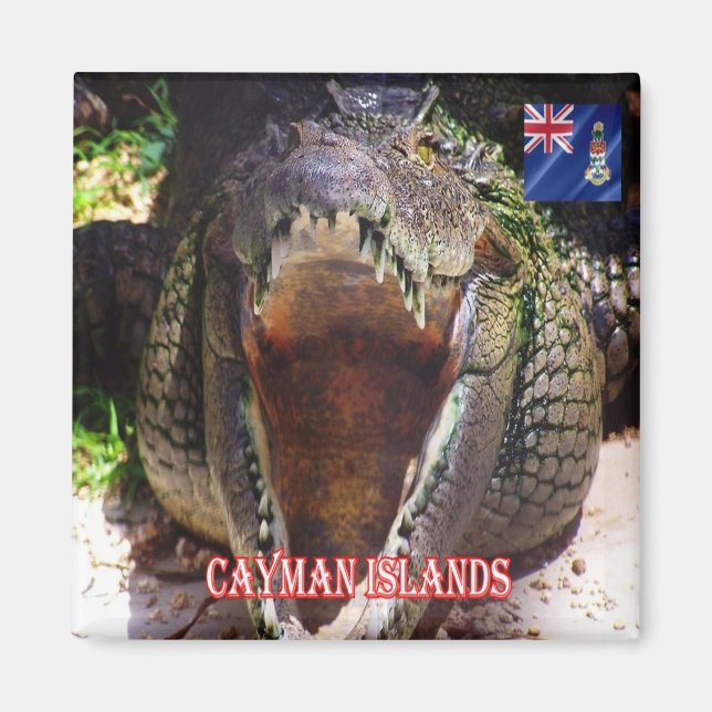 zKY008 CAYMAN ISLANDS, Crocodile at Cayman, Fridge Magnet (Front)