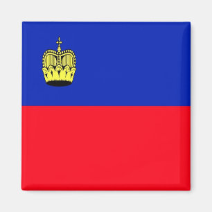 zLI001 FLAG of LIECHTENSTEIN - Fridge Magnet