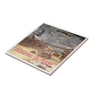 zLK021 GAL VIHARIYA, Polonnaruwa Sri Lanka, Tile