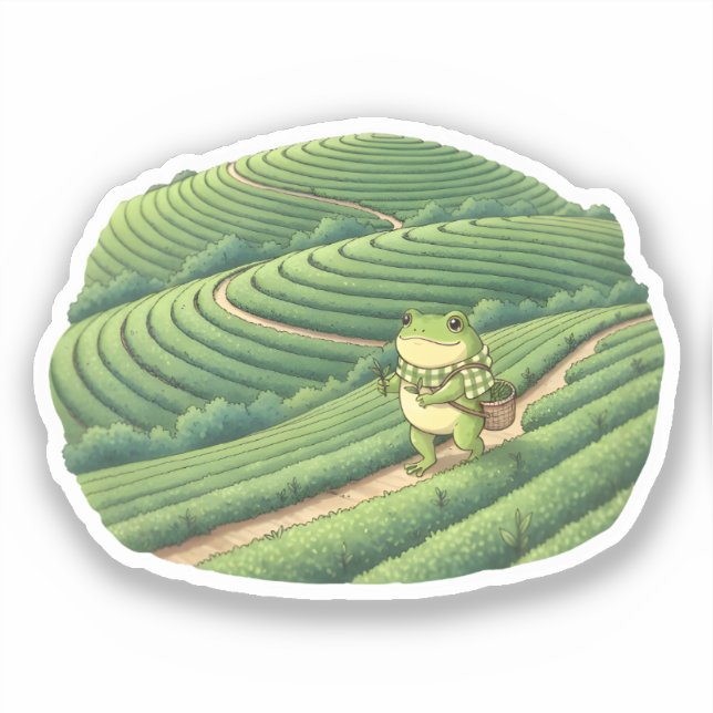 Zochi in Boseong Tea Fields (Front)