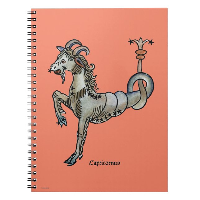 Zodiac: Capricorn, 1482 Spiral Notebook (Front)