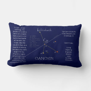 Zodiac Constellation Cancer Funny Unique Lumbar Cushion