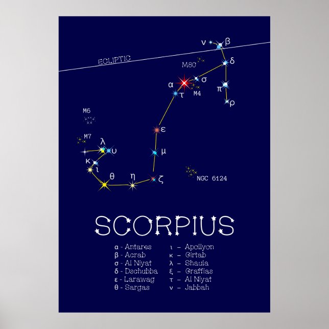 Zodiac Constellation Scorpius Poster (Front)