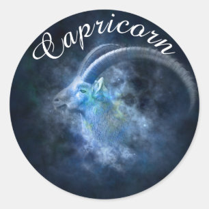 Zodiac Horoscope Astrology Sign Capricorn Sticker