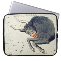 Zodiac-Inspired Taurus