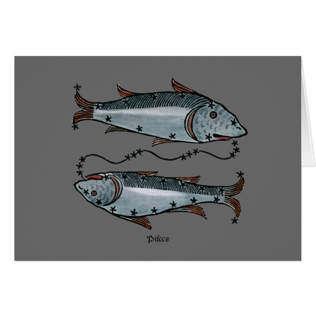 Zodiac: Pisces In Colour (Front Horizontal)