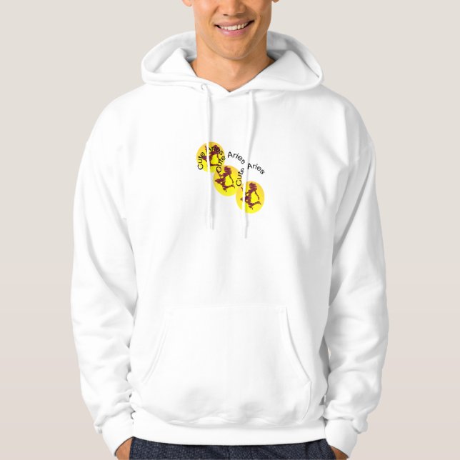Zodiac Sign Aries to Capricorn Icons For Hoodies. Hoodie (Front)