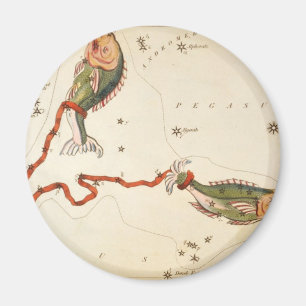 "Zodiac Sign: Pisces" magnets