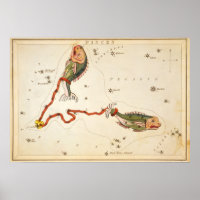"Zodiac Sign: Pisces" print/poster