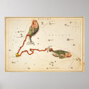 "Zodiac Sign: Pisces" print/poster Poster