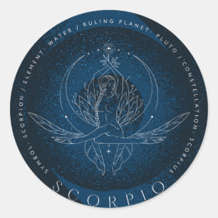 Zodiac sign stickers 