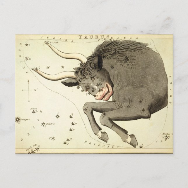 Zodiac Sign: Taurus postcards (Front)