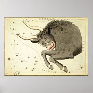 "Zodiac Sign: Taurus" poster/print Poster