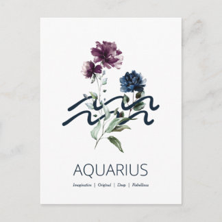 Zodiac Star Sign Aquarius Postcard