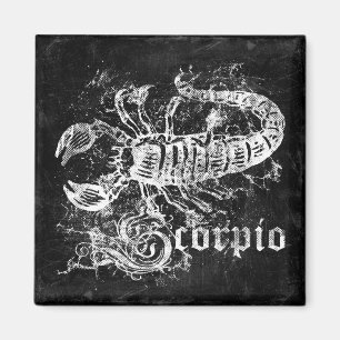 Zodiac Vintage Scorpio Magnet