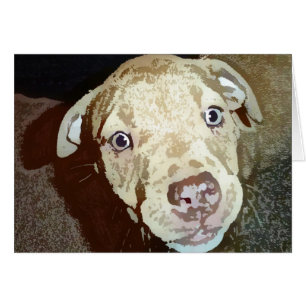 Zoe