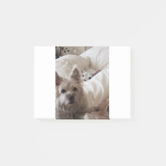 Zoe and Yoda Post-it Notes