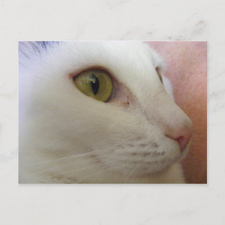 Zoe is thinking. postcard