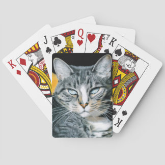 Zoe Kitty Card Deck