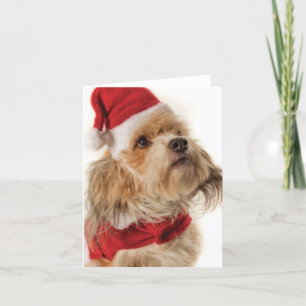 ZOE SANTA HOLIDAY CARD