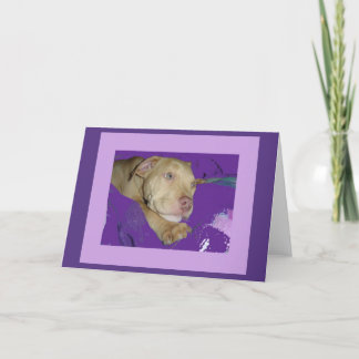 Zoe with purple border card