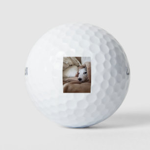 Zoe's Friend Yoda Golf Balls