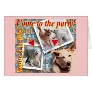 ZoeSPEAK - Come to the party!