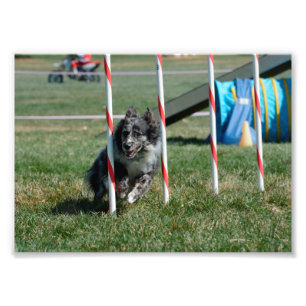 Zoey 2 photo print