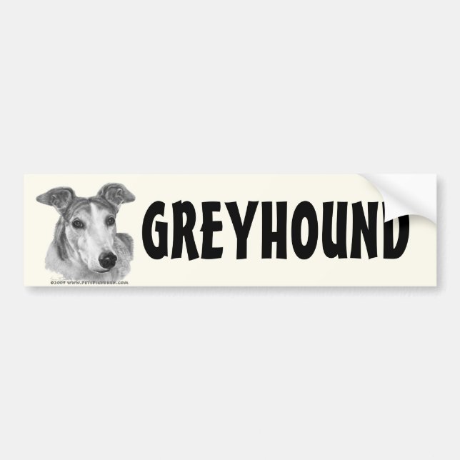 Zoie, Greyhound Bumper Sticker (Front)