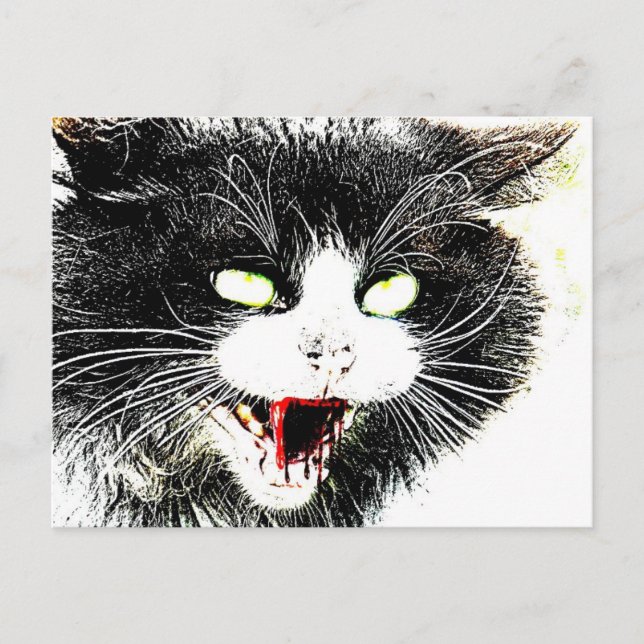 Zombie Cat Postcard (Front)