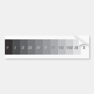 Zone System Bumper Sticker