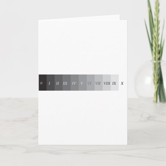 Zone System Card (Front)