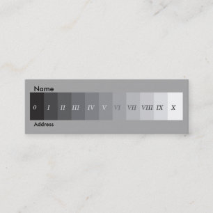 Zone System Mini Business Card