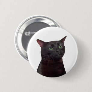 Zoned Out Cat Meme Pin Button