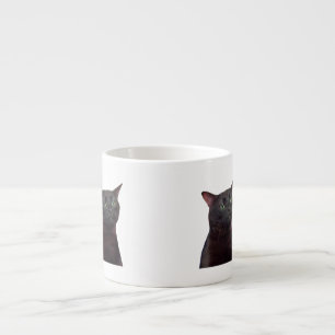 Zoned Out Cat, zoned out Espresso Cup