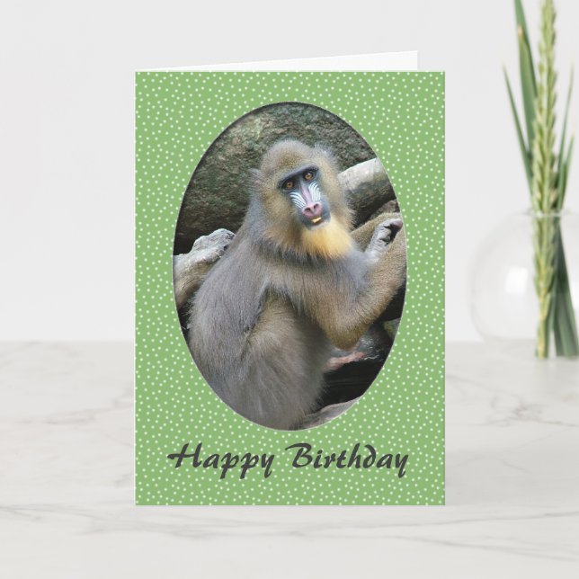 Zoo animal baboon happy birthday card (Front)