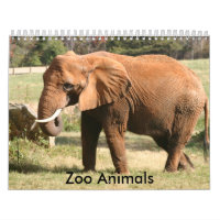 Zoo Animals