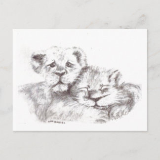 Zoo Babies Postcard