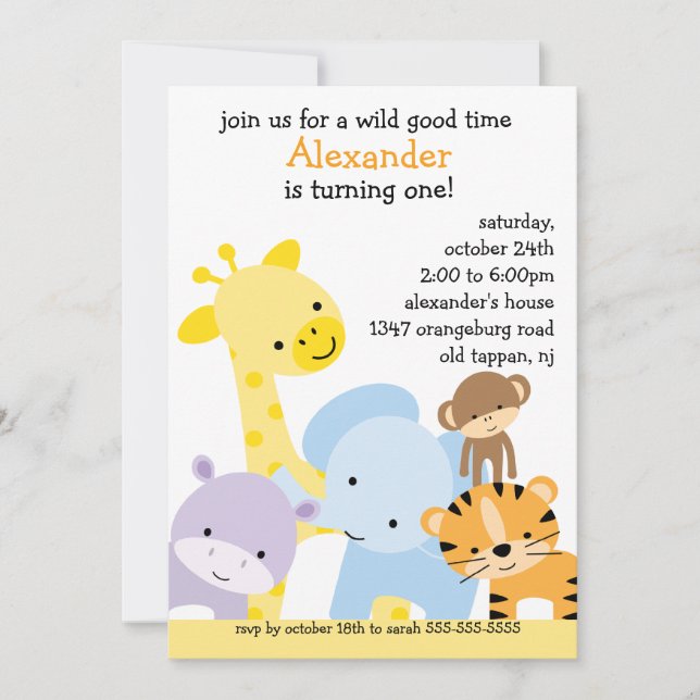 Zoo Fun Birthday Party Invitation (Front)