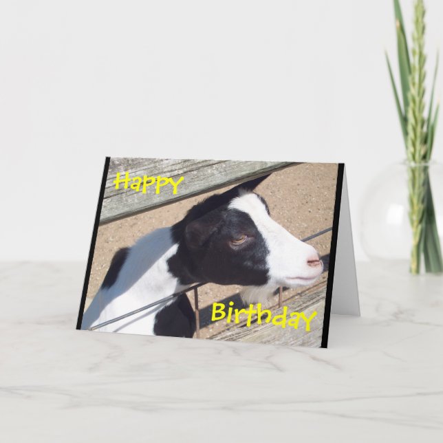 "Zoo Goat" Birthday Card (Front)