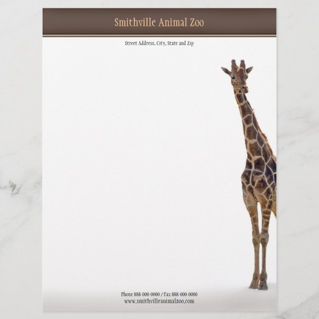 Zoo Letterhead Template (Front)
