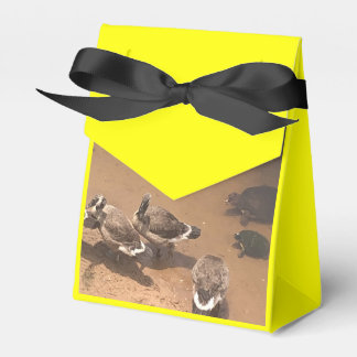 Zoo Love Favour Box
