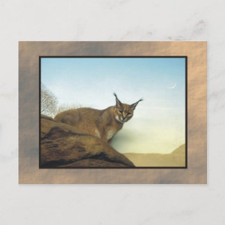 zoo lynx 2 postcard