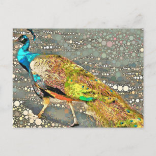 Zoo Peacock Postcard