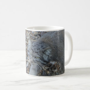 Zoo Photography - Pallas Cat (Manul) Coffee Mug