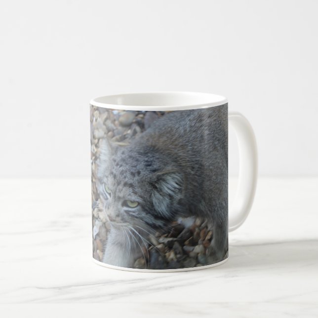 Zoo Photography - Pallas Cat (Manul) Coffee Mug (Front Right)